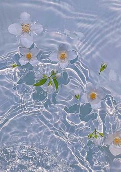 モ テ 男 達 の 恋