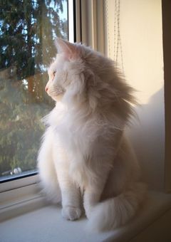 　大好きな君　。