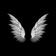 ハルさんのアイコン画像