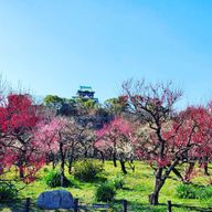 無差別フォローさんのアイコン画像