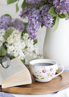 ranfren短編夢小説