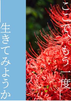 ここで、もう一度＿＿＿＿＿生きてみようか