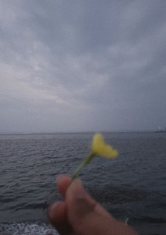 私。