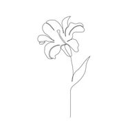 Lilyさんのアイコン画像