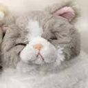 ふくちゃんリア友