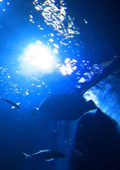 きょうかたんとNの特別なお部屋♡