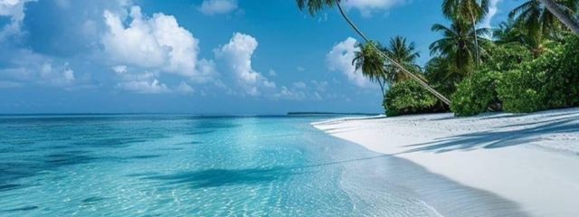 Yukiさんの壁紙画像