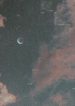 ファンキーナイトバーズ