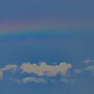 マツリカさんのアイコン画像