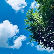 えす.さんのアイコン画像