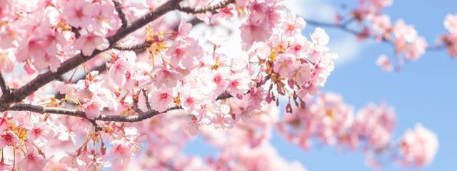 るるさんの壁紙画像