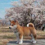 璢愛ーLuaーさんのアイコン画像