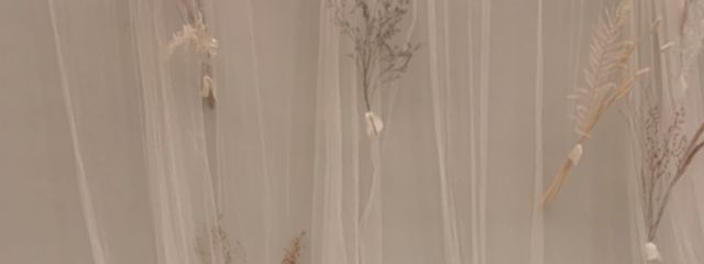 とまとさんの壁紙画像