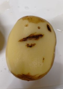 お久しぶりです