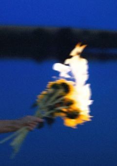 Reaction short story collection