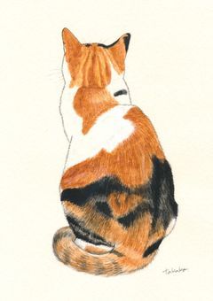 泣いた私を慰めて