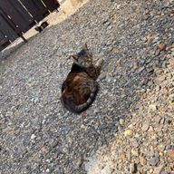 みおさんのアイコン画像