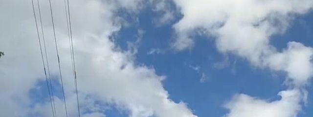 りむさんの壁紙画像