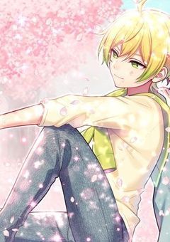 ある春 、 貴方に恋をする ＿＿ 。