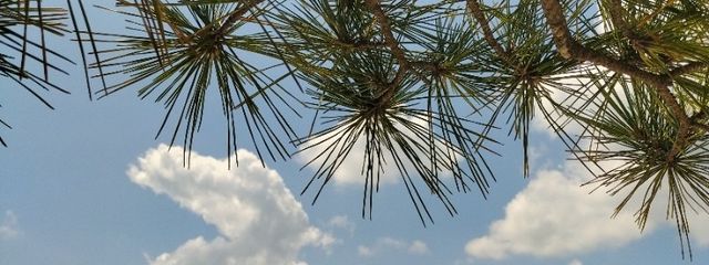 ‎🤍n.🤍さんの壁紙画像