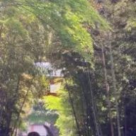 Renoa さんのアイコン画像