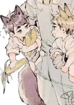 私のいとこ    《  ハ  イ  キ  ュ  ー  !!  》    