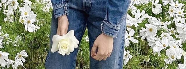 んじぇさんの壁紙画像