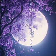 夢枕さんのアイコン画像