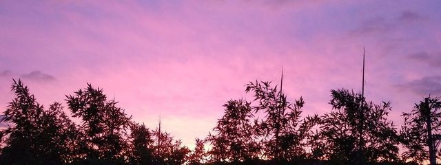 夜空さんの壁紙画像