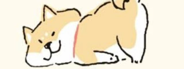 狗🕊📗 さんの壁紙画像