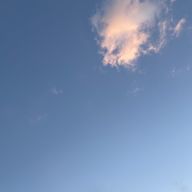 ゆる。さんのアイコン画像