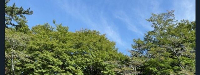 ❥Rina❥さんの壁紙画像