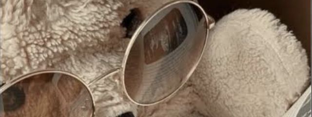 ひめ🂡✰*さんの壁紙画像