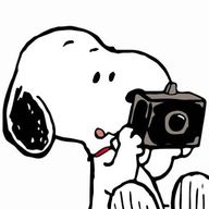 ゆづさんのアイコン画像