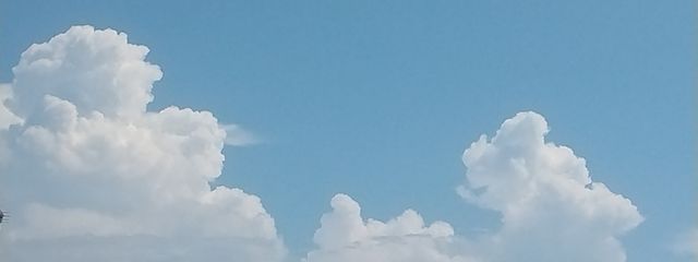 わぁさんの壁紙画像