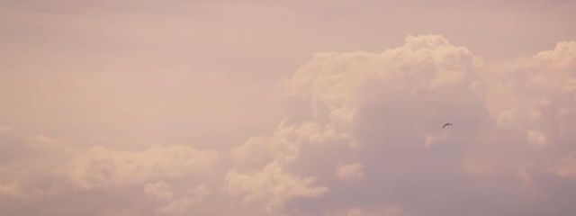 sumaru🌕@低低低浮上さんの壁紙画像