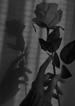 海月🪼𓂃 𓈒𓏸の妄想部屋