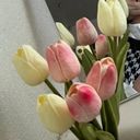 (なまえ)