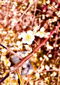 呪いからの救い