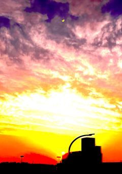 ヤンデレ兄弟の妹はAssassinでした