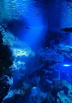 #ある少女の捕らえ方