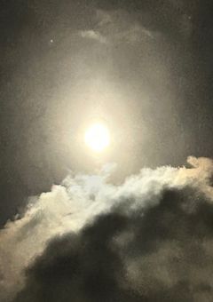 あの日の誓い　～龍神NIPPONと消えた笑顔～