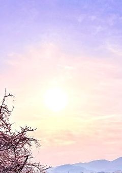 何度生まれ変わっても君を想う～芸能界の奇跡～