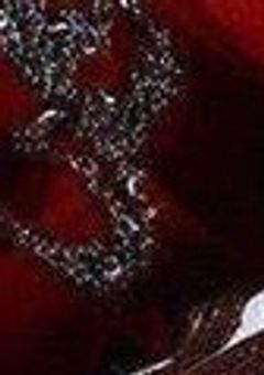 14体(？)のSCPに好かれました。