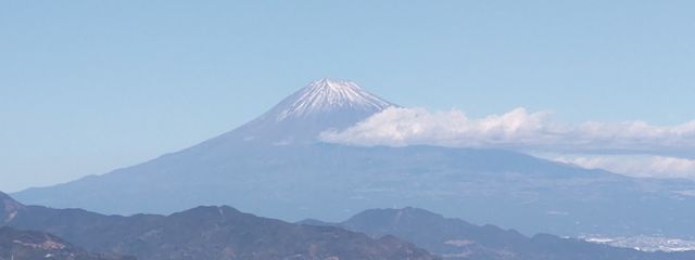 サイレモンさんの壁紙画像