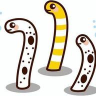 サイレモンさんのアイコン画像