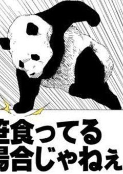 代理君のプロフィール