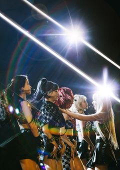 猫になって会いに来たよ