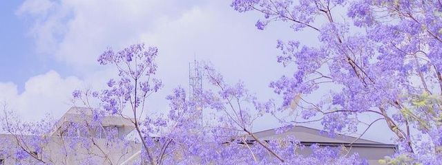 jvir_95さんの壁紙画像