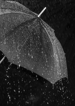 無愛想なあの子